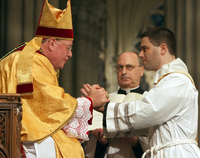 NY Ordination 2009.jpg